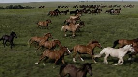 В программе «Уралым» расскажут о том, как в Кыштыме юрту превратили в медпункт