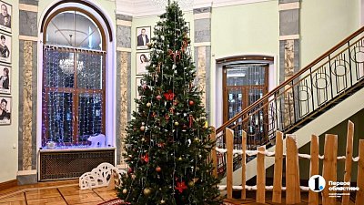 Как челябинцам украсить елку — тренды нового, 2026 года