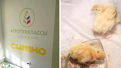 В Фершампенуазе открылся современный агрокласс для будущих птицеводов