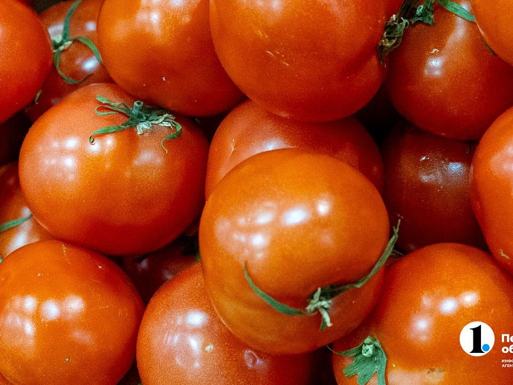 Помидоры в Челябинской области в ноябре подорожали на 30 процентов
