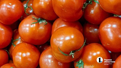 Помидоры в Челябинской области в ноябре подорожали на 30 процентов