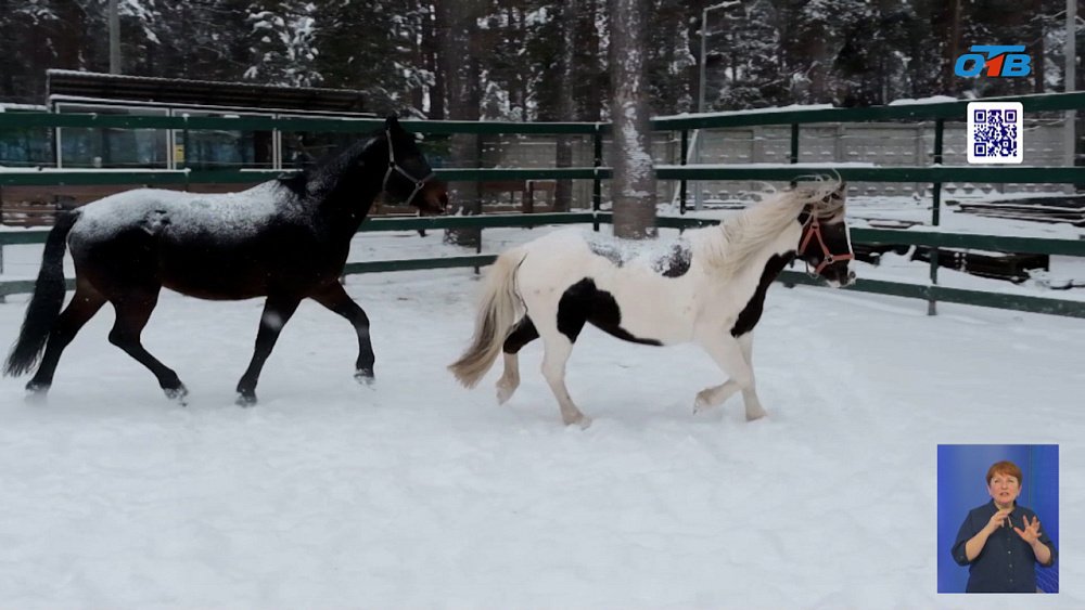 Как встречать год огненной лошади