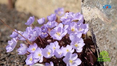 Идеи для стильного сада от ведущих ландшафтных архитекторов