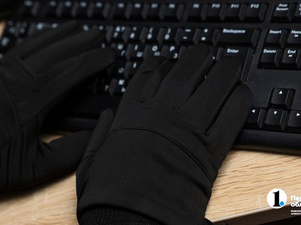 Полиция Челябинской области предупредила о «новогодних» аферистах