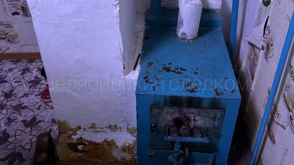 В поселке Челябинской области расследуют гибель бабушки и внучки