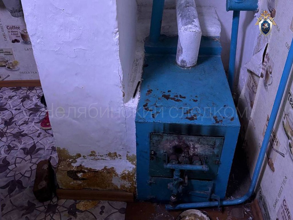 В поселке Челябинской области расследуют гибель бабушки и внучки