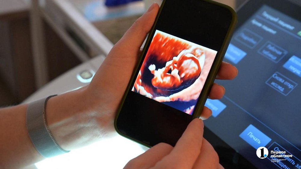 Более 2,5 тысячи ЭКО выполнят в Челябинской области в 2025 году по ОМС