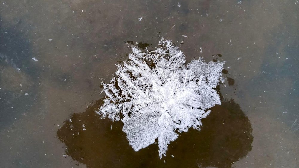 Снежные цветы украсили реку Юрюзань в Челябинской области