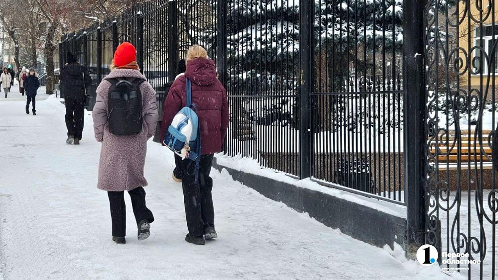 В Челябинской области 53 школы закрыли на карантин по гриппу и ОРВИ