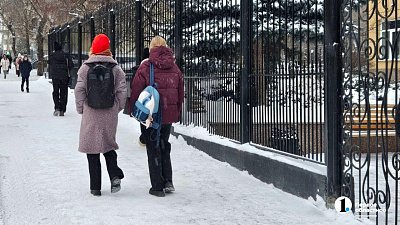 В Челябинской области 53 школы закрыли на карантин по гриппу и ОРВИ