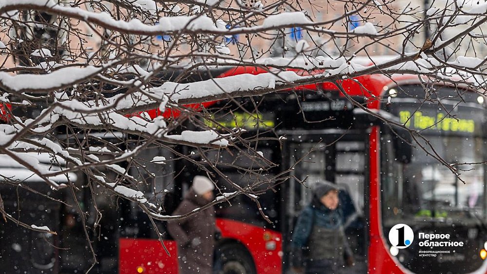 В Челябинской области 17 декабря снова обещают снег