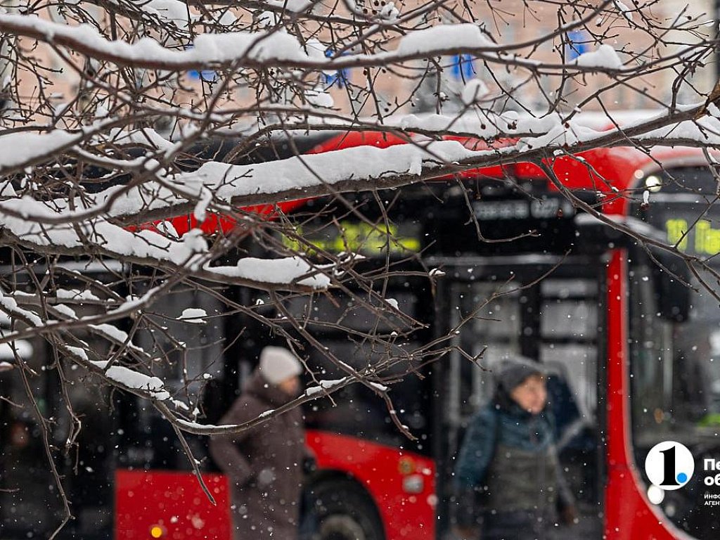 В Челябинской области 17 декабря снова обещают снег