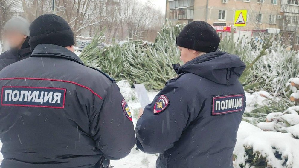 В Копейске у нелегального продавца изъяли 160 хвойных деревьев