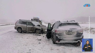 Смертельная авария произошла в метель на трассе в Челябинской области