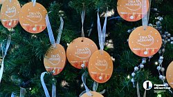 Алексей Текслер дал старт новогодней акции «Елка желаний»