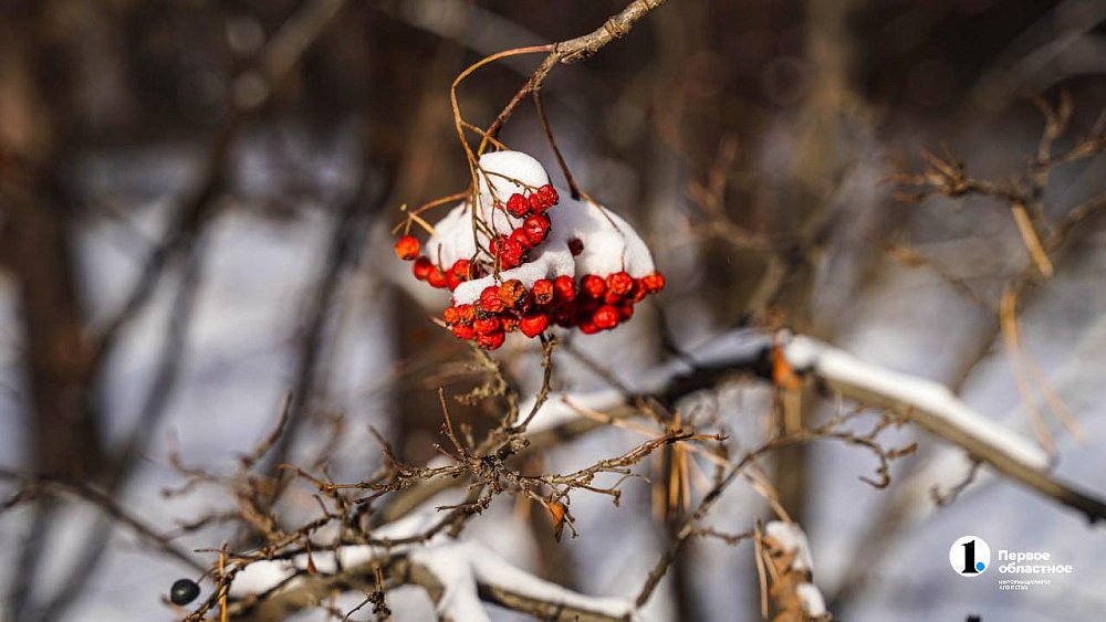 Антициклон над Уралом снизит количество осадков в Челябинской области 18 декабря