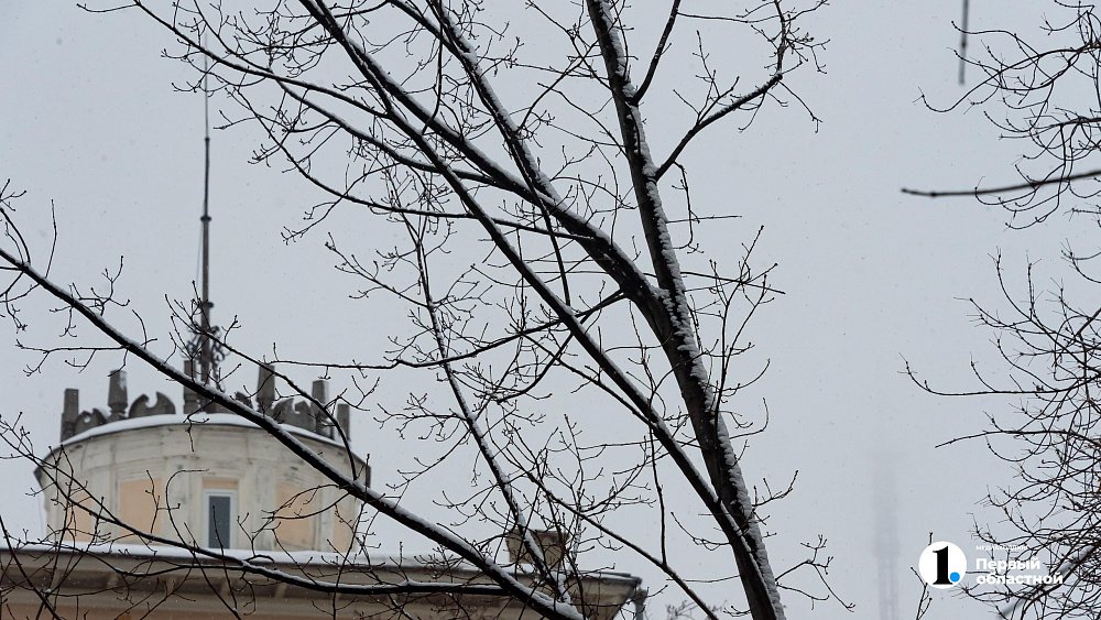 Утренние туман и изморозь ждут южноуральцев после морозной ночи 18 декабря