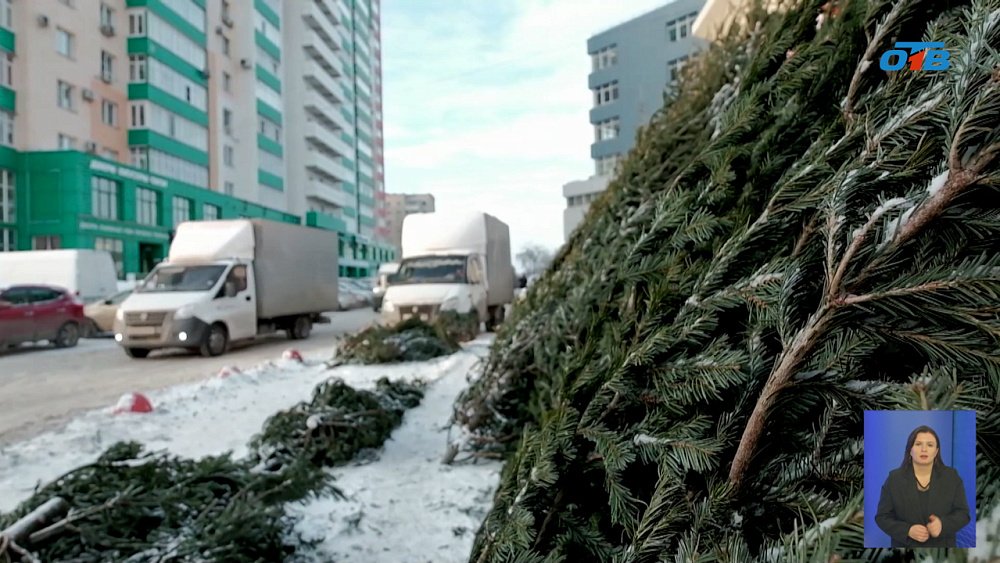 В Челябинске заработали елочные базары