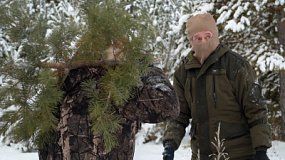 В Челябинской области усилили патрулирование хвойных лесов