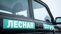 Более 2,5 млн гектаров челябинских лесов взяты под усиленную защиту в канун Нового года