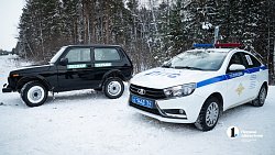 Более 2,5 млн гектаров челябинских лесов взяты под усиленную защиту в канун Нового года