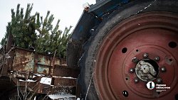 Более 2,5 млн гектаров челябинских лесов взяты под усиленную защиту в канун Нового года