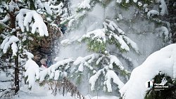 Более 2,5 млн гектаров челябинских лесов взяты под усиленную защиту в канун Нового года