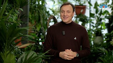 Новый ассортимент растений для выращивания в кашпо и кадках