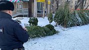 Пять незаконных елочных базаров выявили в Челябинске