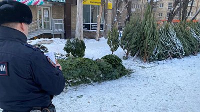 Пять незаконных елочных базаров выявили в Челябинске