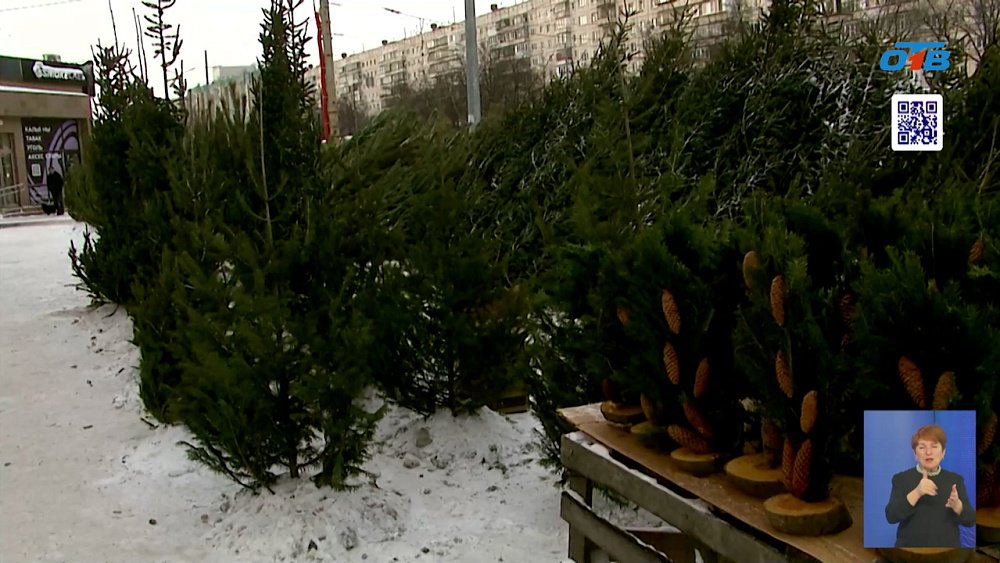 В Челябинске провели рейды по елочным базарам