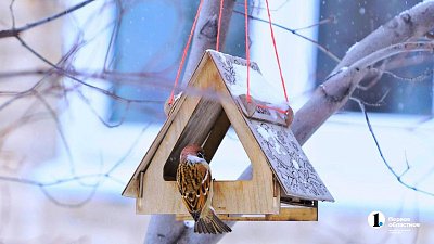 В Челябинской области резко потеплеет до −7 градусов 21 декабря