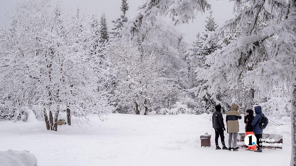 Высота снежного покрова в Челябинской области возросла до 30 см