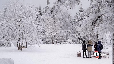 Высота снежного покрова в Челябинской области возросла до 30 см