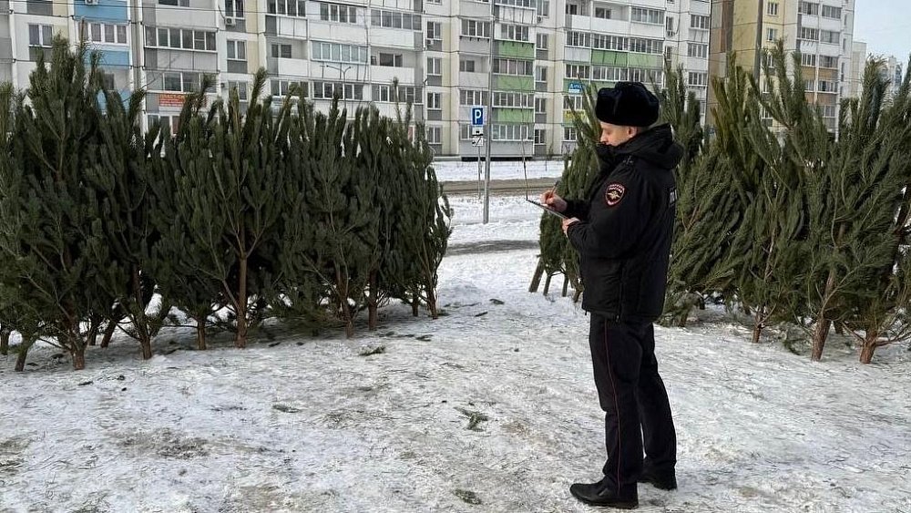 Свыше 1,3 тысячи хвойных деревьев изъяли у нелегальных продавцов в Челябинске