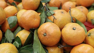 Каждая четвертая машина на границе везет мандарины через Челябинскую область