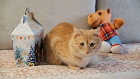 Телеканал ОТВ принял участие в акции «Снеговики-добряки»