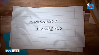 Будем размахивать плетьми... Или плетями? — в рубрике «Простые правила»