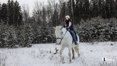 Челябинцы встали в очередь на конные прогулки в январские праздники