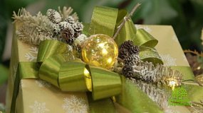 В «Зеленой передаче» обсудят планы в саду на январь