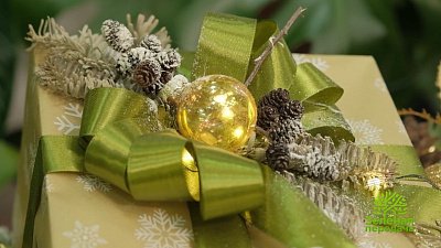 В «Зеленой передаче» обсудят планы в саду на январь