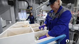 На Южном Урале в 2 раза вырастет число участников регпрограммы по росту производительности труда