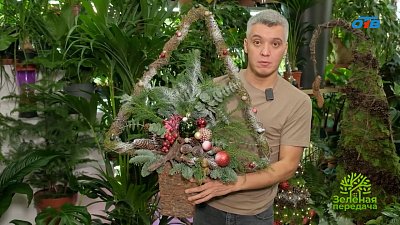 Мастер-класс по изготовлению необычной елочки из натуральных материалов