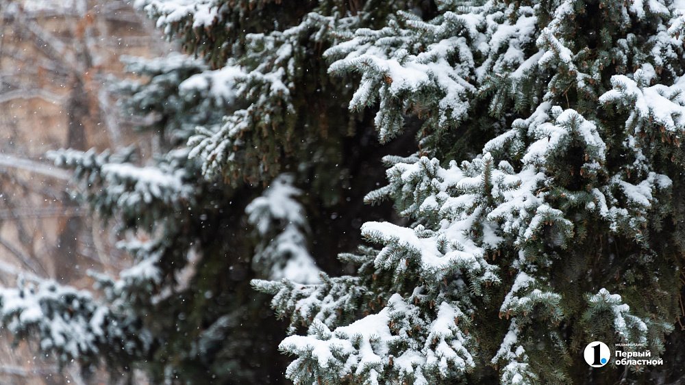 В последние выходные декабря челябинцам обещают потепление до −10