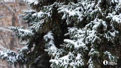 В последние выходные декабря челябинцам обещают потепление до −10