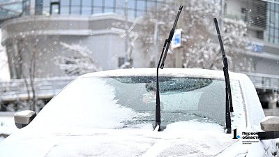 Синоптики пообещали жителям Челябинской области снежную погоду 28 декабря