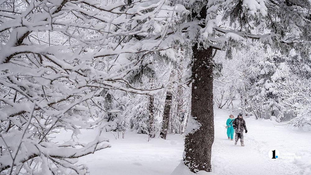 Сугробы могут вырасти еще на 10 см перед Новым годом в Челябинской области