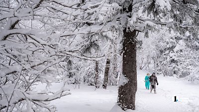 Сугробы могут вырасти еще на 10 см перед Новым годом в Челябинской области