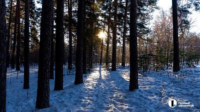До −4 потеплеет в Челябинской области 29 декабря