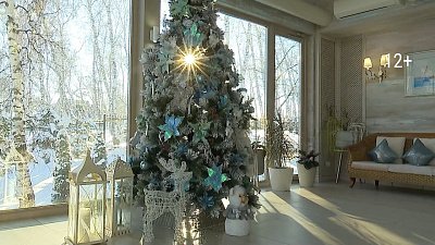 Как ухаживать за хвойными растениями?